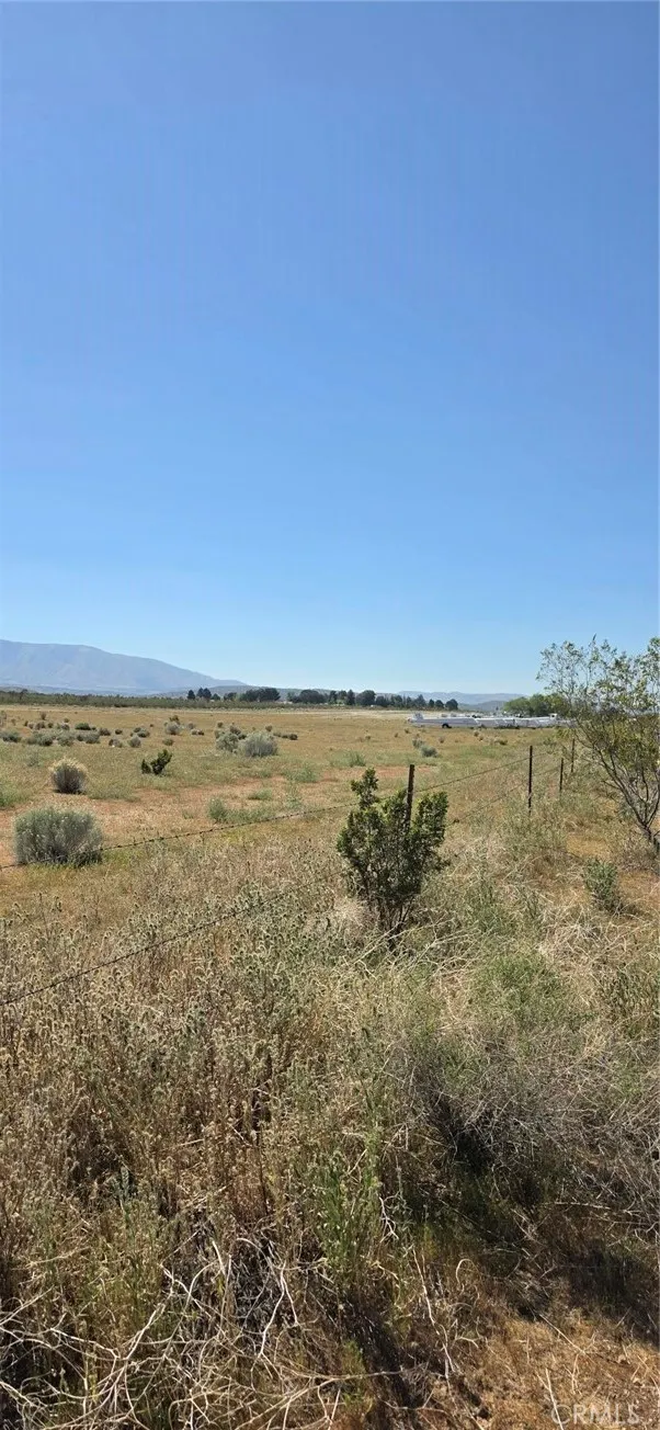 175th St E W10 Llano, CA 93591