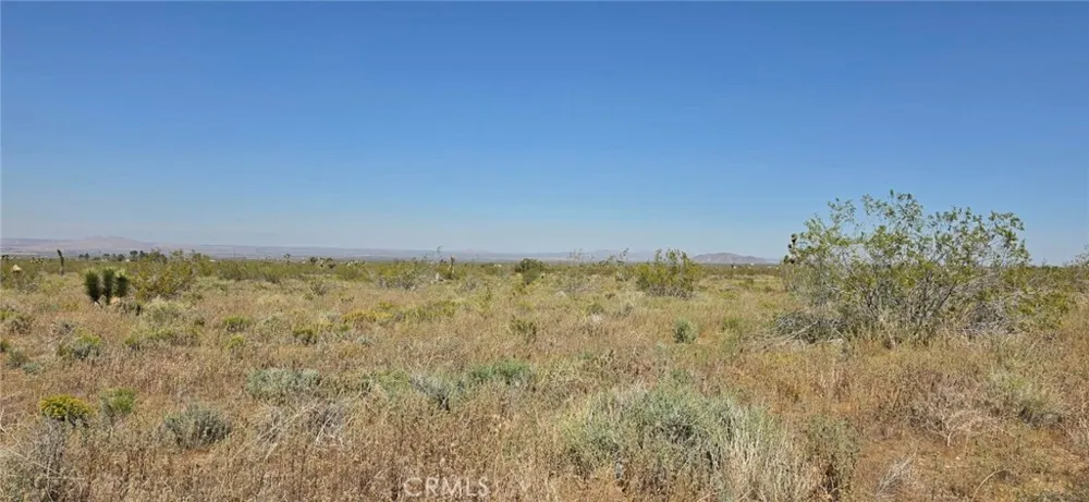 175th St E W10 Llano, CA 93591