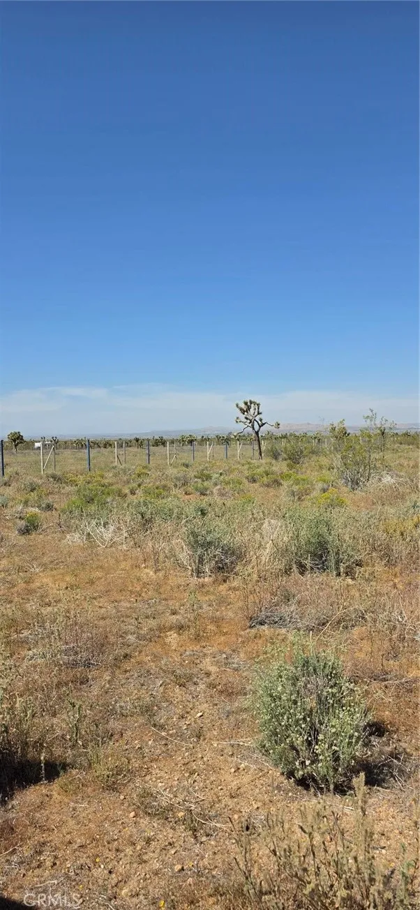 175th St E W10 Llano, CA 93591