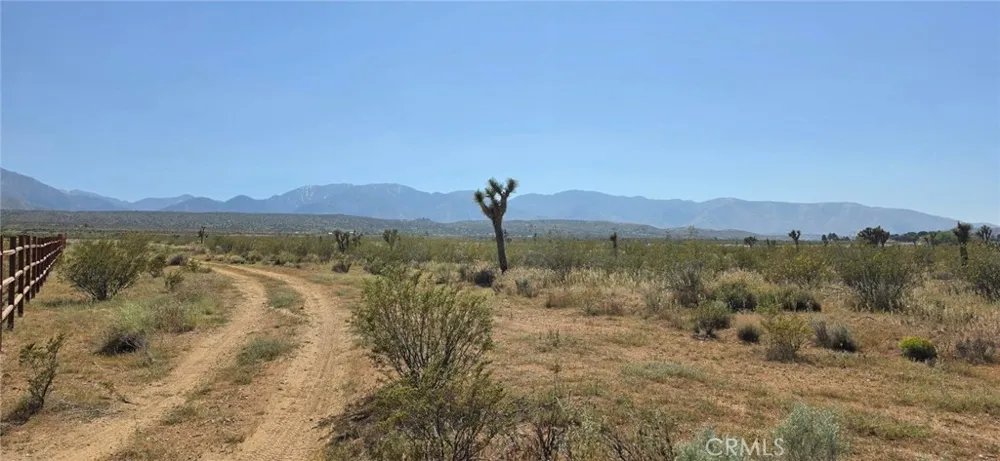 175th St E W10 Llano, CA 93591