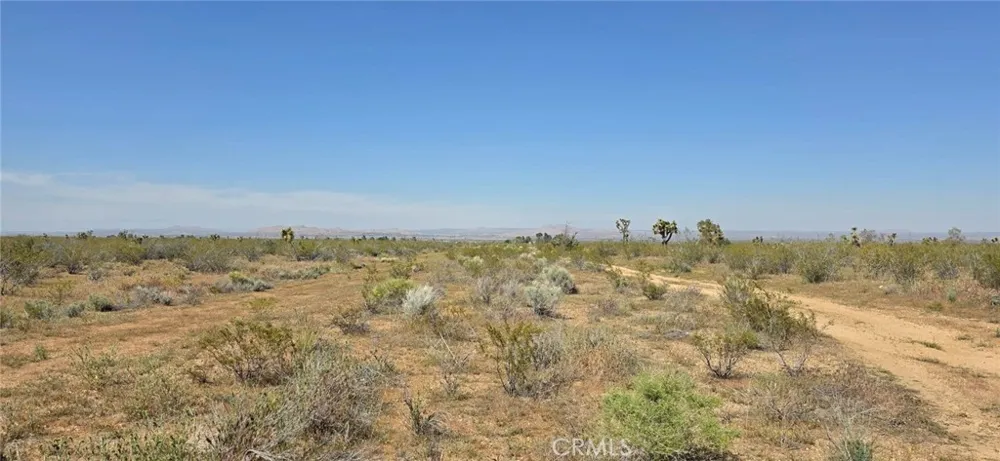 175th St E W10 Llano, CA 93591