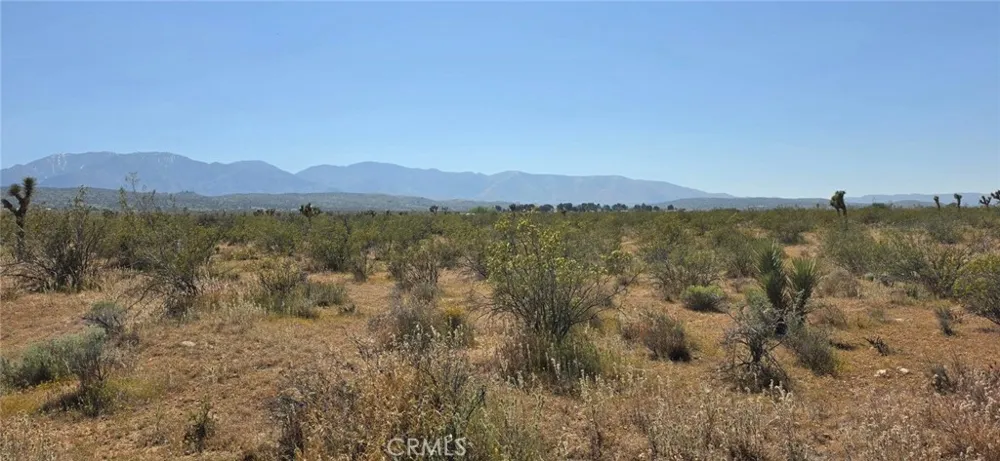 175th St E W10 Llano, CA 93591