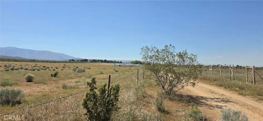 175th St E W10 Llano, CA 93591