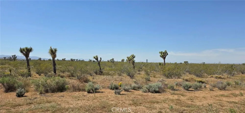 175th St E W10 Llano, CA 93591
