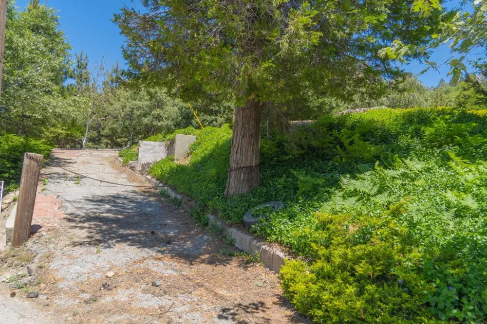 26262 Highway 18 Rimforest, CA 92378