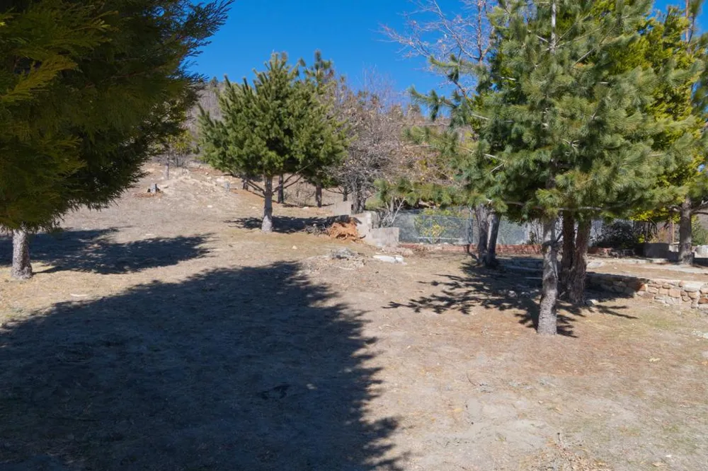 26262 Highway 18 Rimforest, CA 92378