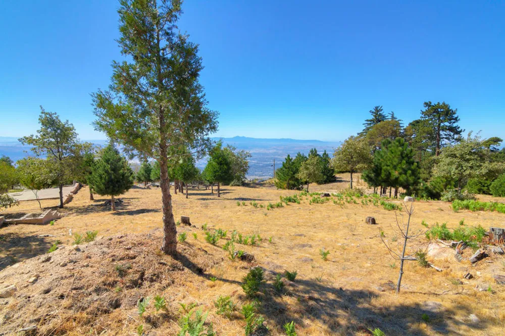 26262 Highway 18 Rimforest, CA 92378