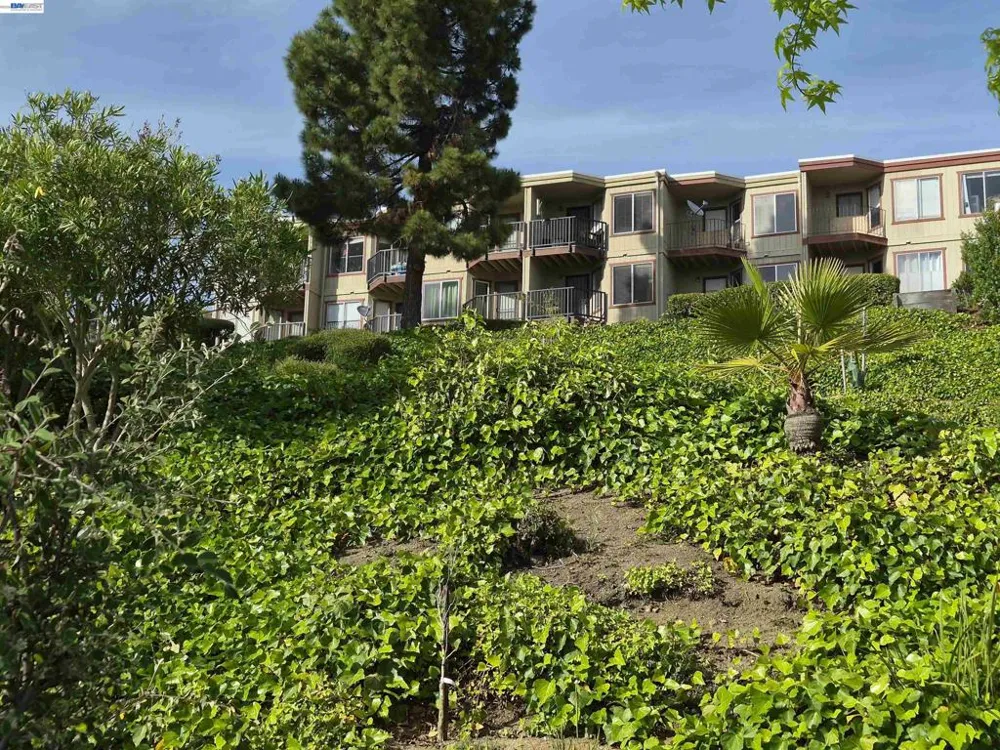 20980 BIRCH #C Hayward, CA 94541