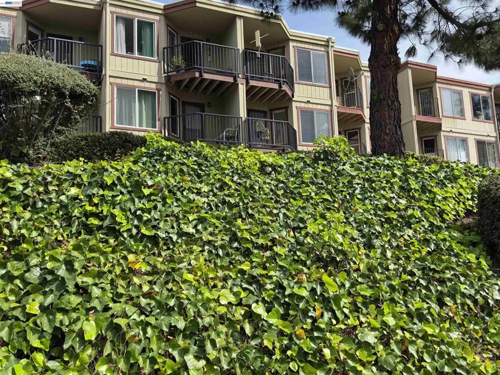 20980 BIRCH #C Hayward, CA 94541