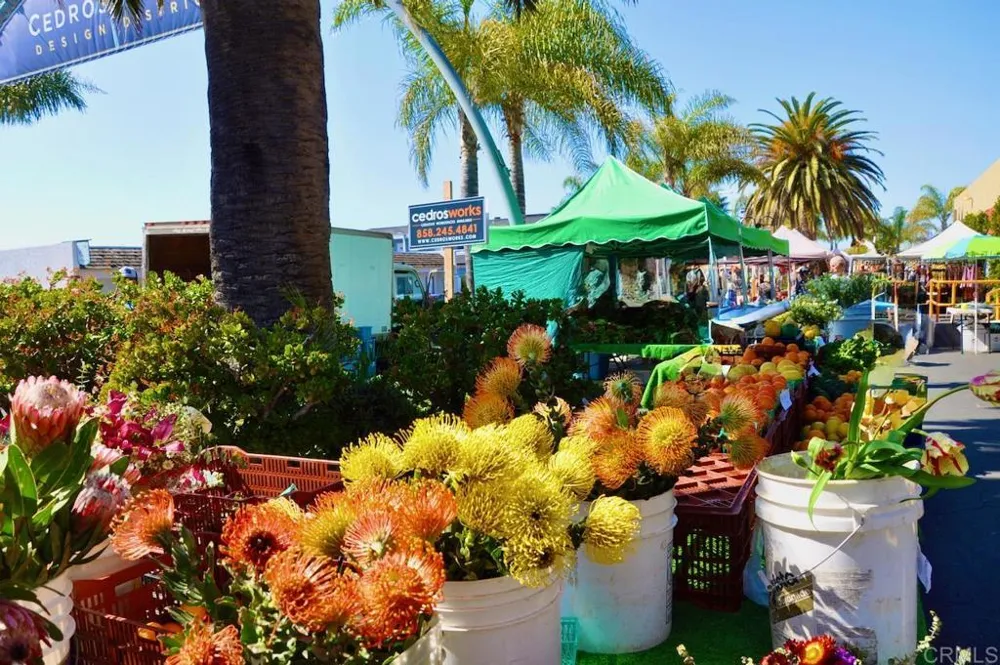 212 Helix Avenue Solana Beach, CA 92075
