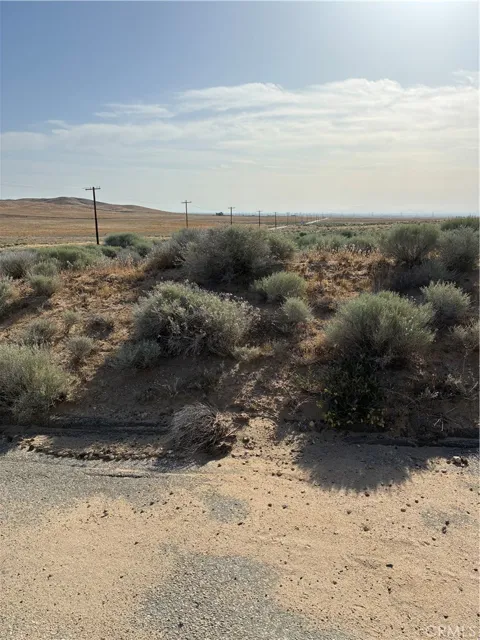 Cholla Road