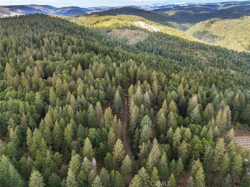 5555 Platt Mountain Forest Ranch, CA 95942