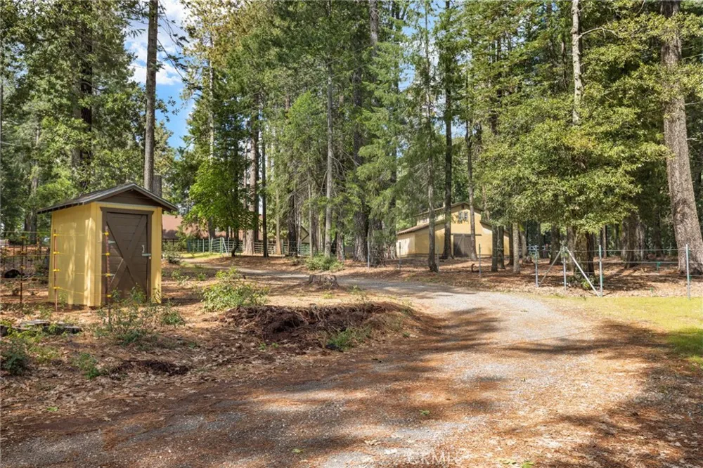 5555 Platt Mountain Forest Ranch, CA 95942