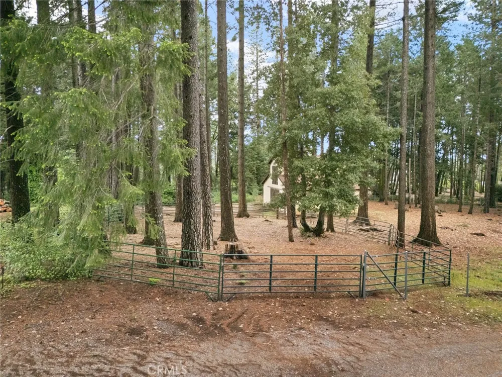 5555 Platt Mountain Forest Ranch, CA 95942