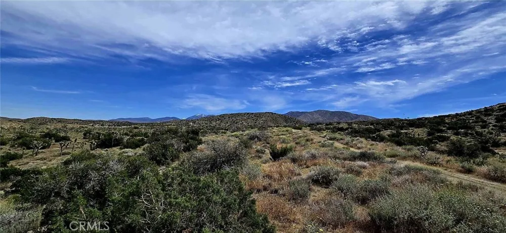 8900 Bainard Canyon Road Littlerock, CA 93550