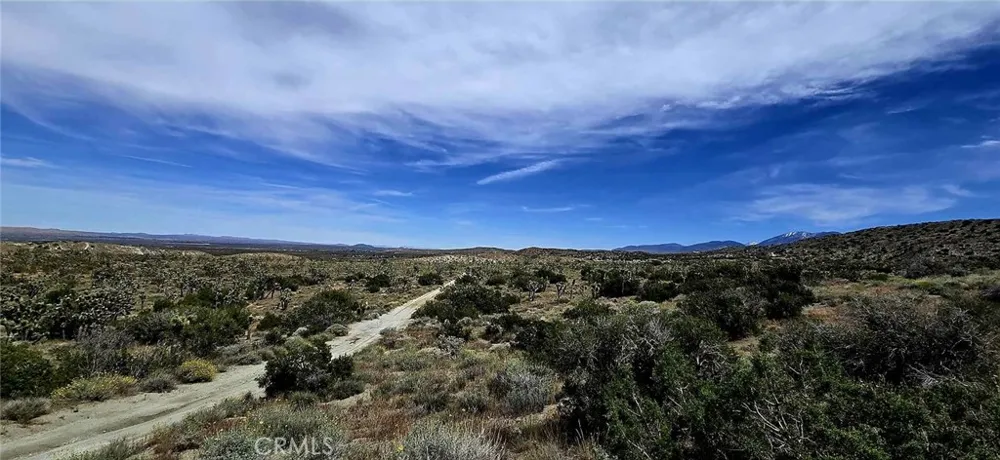8900 Bainard Canyon Road Littlerock, CA 93550