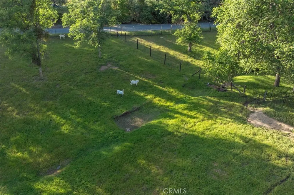 50711 Road 426 Oakhurst, CA 93644