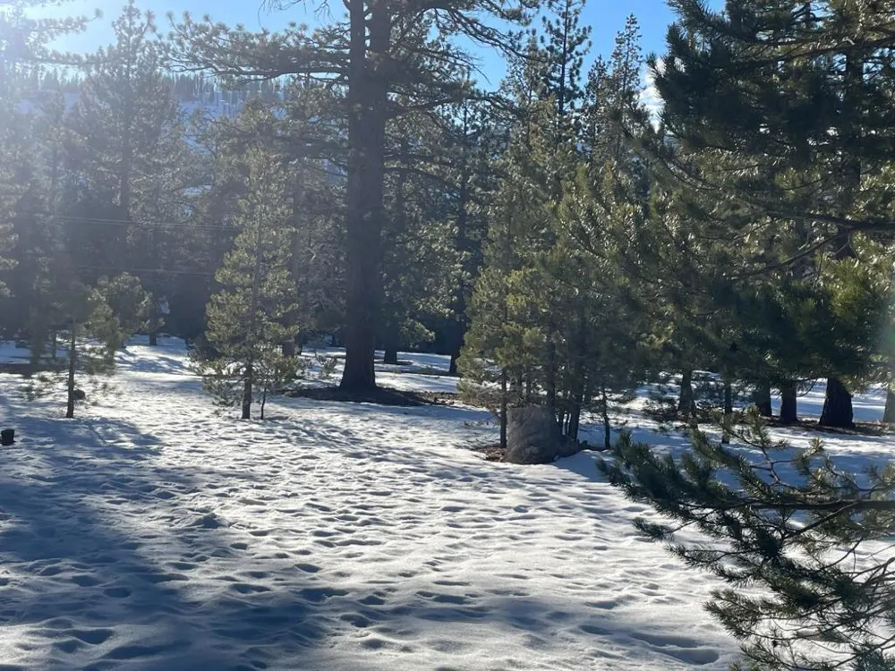 2510 Blitzen Road South Lake Tahoe, CA 96150