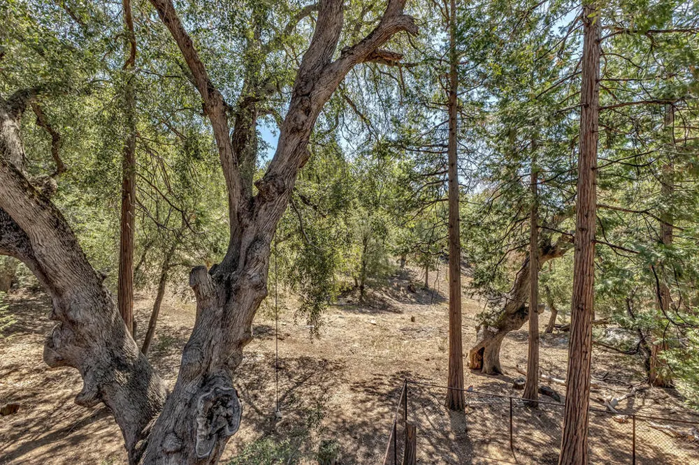 52381 Laurel Trail Idyllwild, CA 92549