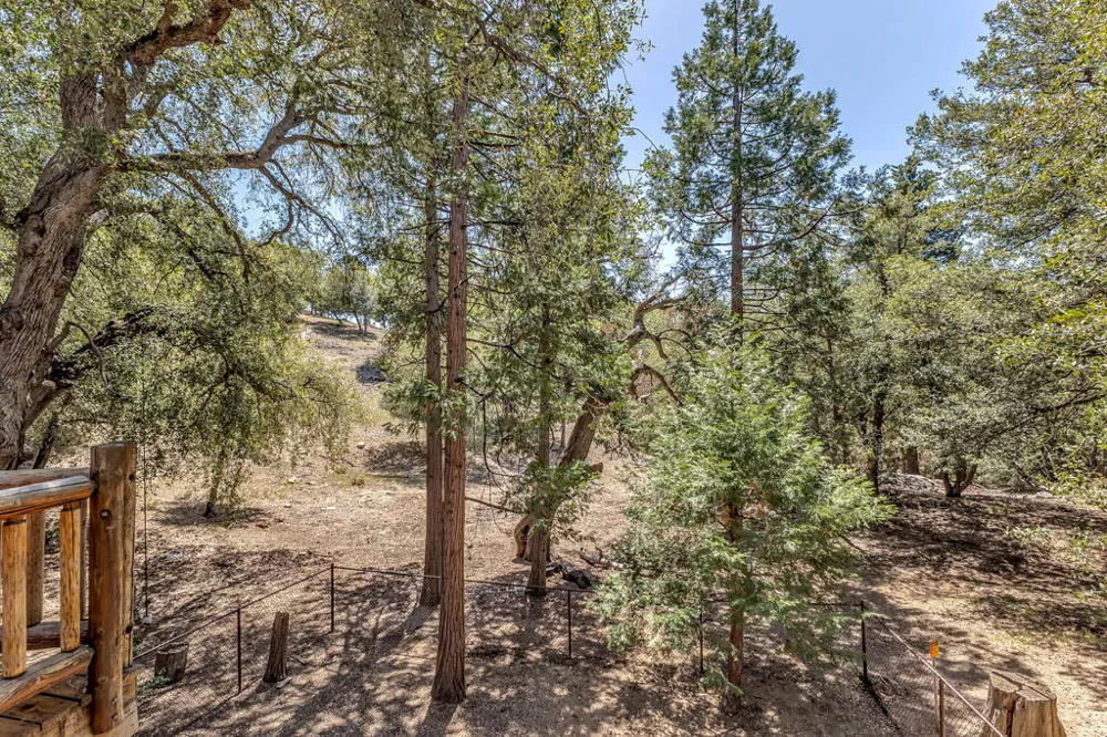 52381 Laurel Trail Idyllwild, CA 92549