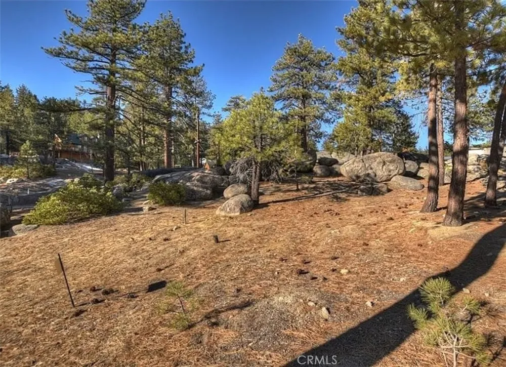 831 Cove Drive Big Bear Lake, CA 92315