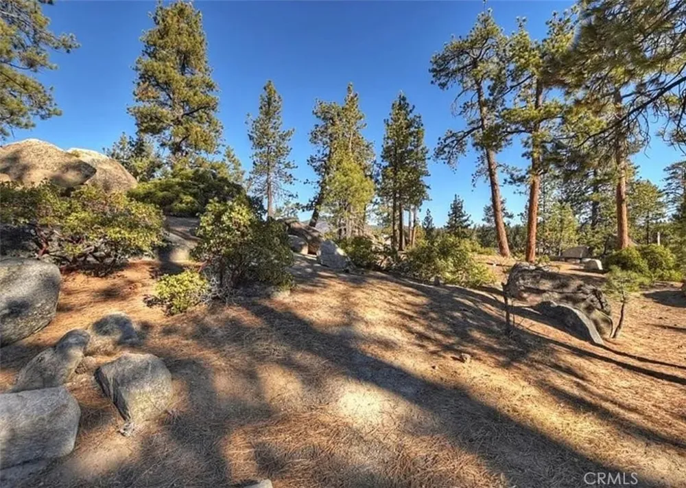 831 Cove Drive Big Bear Lake, CA 92315