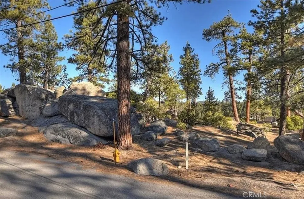 831 Cove Drive Big Bear Lake, CA 92315