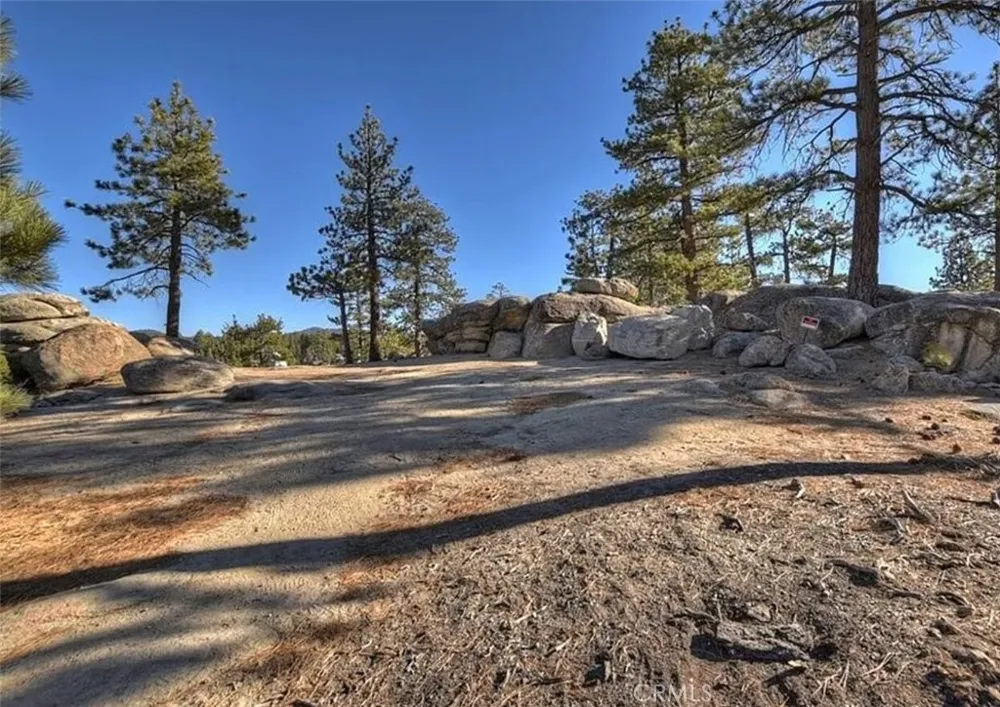 831 Cove Drive Big Bear Lake, CA 92315