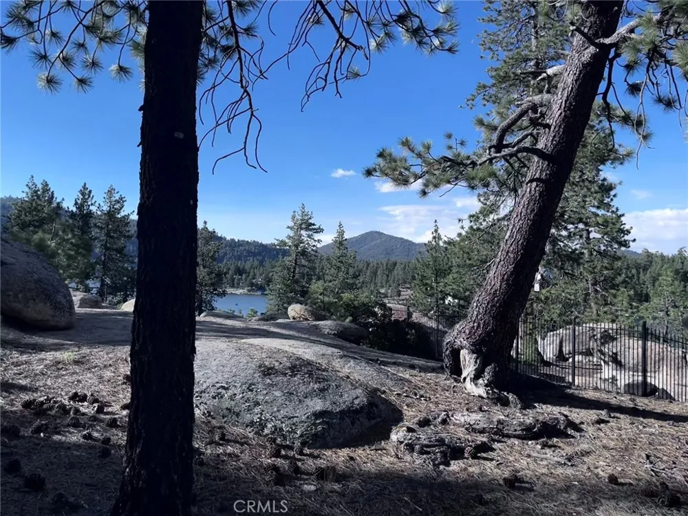 831 Cove Drive Big Bear Lake, CA 92315