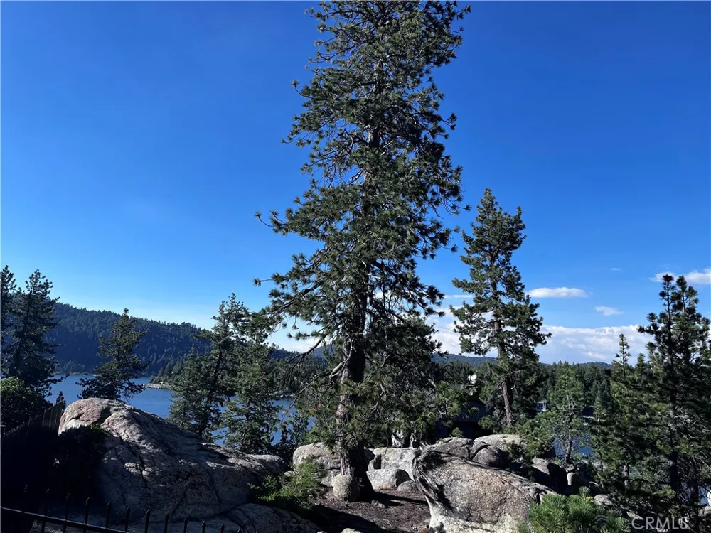 831 Cove Drive Big Bear Lake, CA 92315