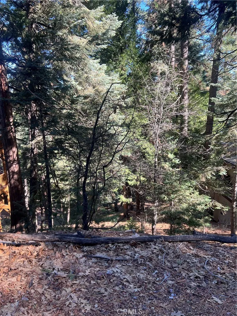 Forest Twin Peaks, CA 02391