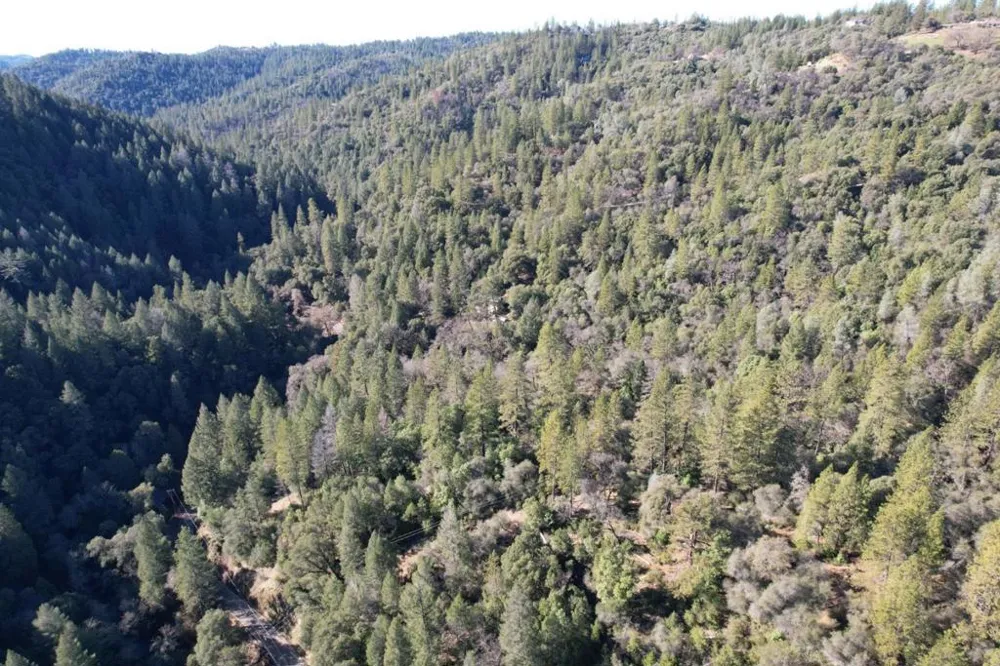 Sutter Creek Road Sutter Creek, CA 95685