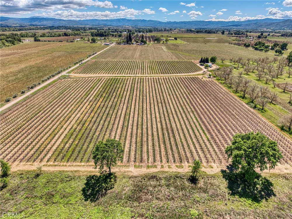 2195 stone Drive Lakeport, CA 95453