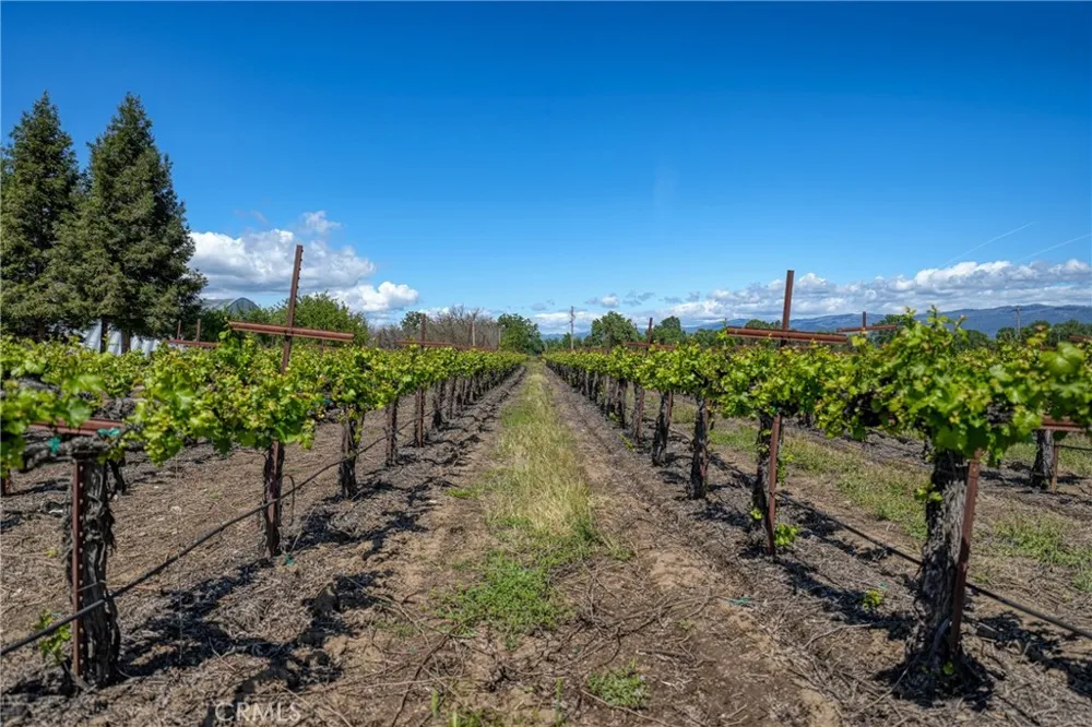 2195 stone Drive Lakeport, CA 95453