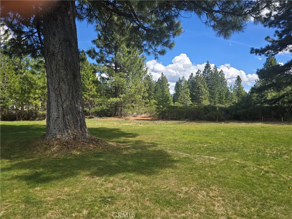329 Flint Lake Almanor Peninsula, CA 96137