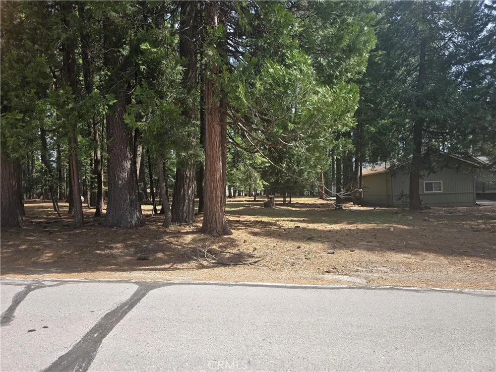 716 Conifer Lake Almanor Peninsula, CA 96137