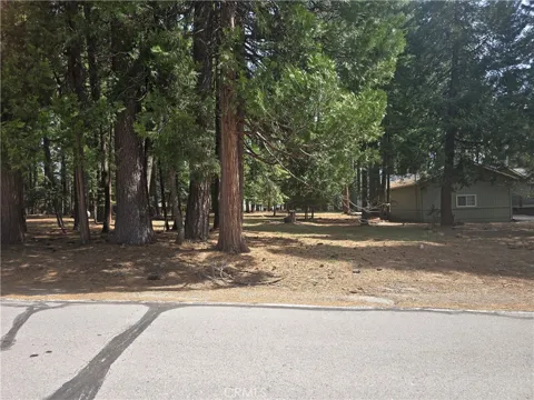 716 Conifer