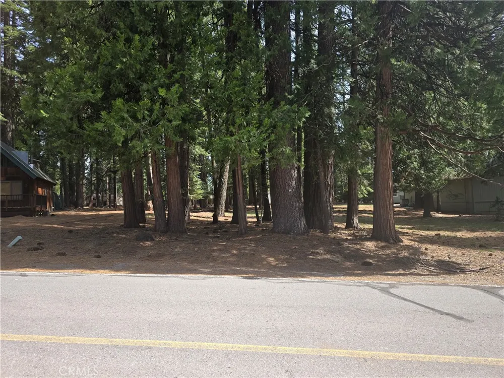 716 Conifer Lake Almanor Peninsula, CA 96137
