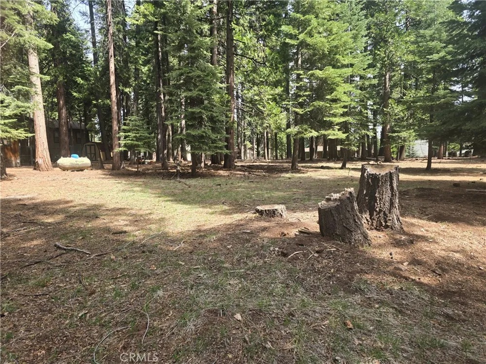 716 Conifer Lake Almanor Peninsula, CA 96137