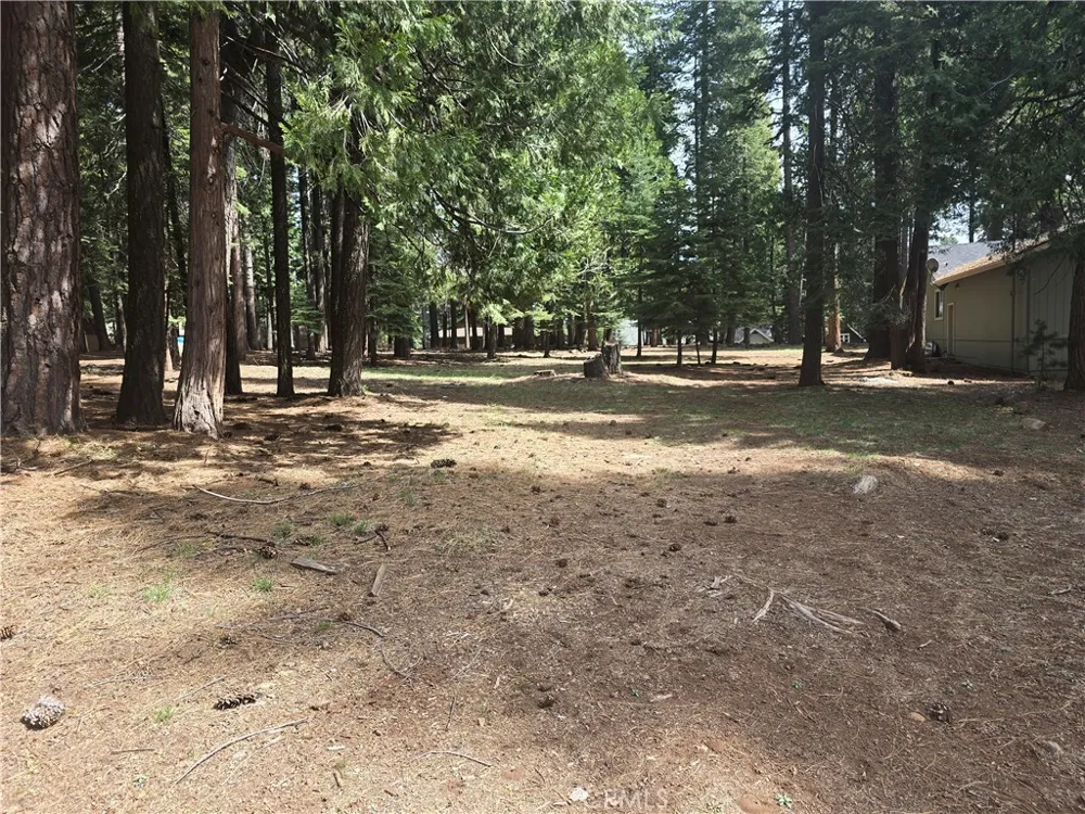 716 Conifer Lake Almanor Peninsula, CA 96137