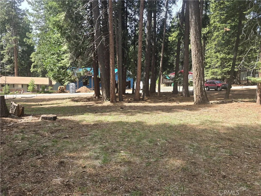 716 Conifer Lake Almanor Peninsula, CA 96137