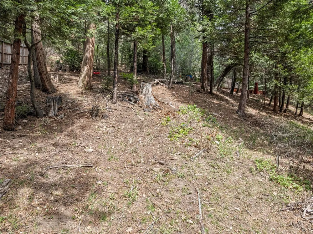 27048 State Highway 189 Blue Jay, CA 92317