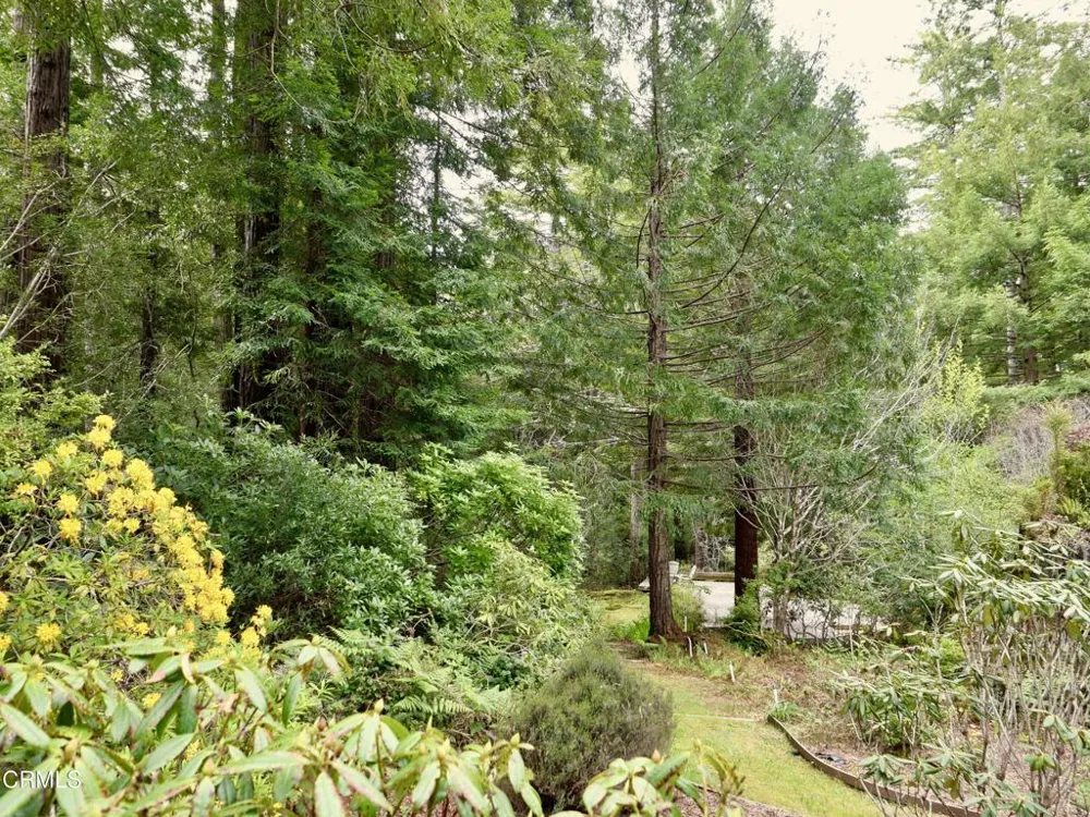 33100 Frog Pond Road Little River, CA 95456