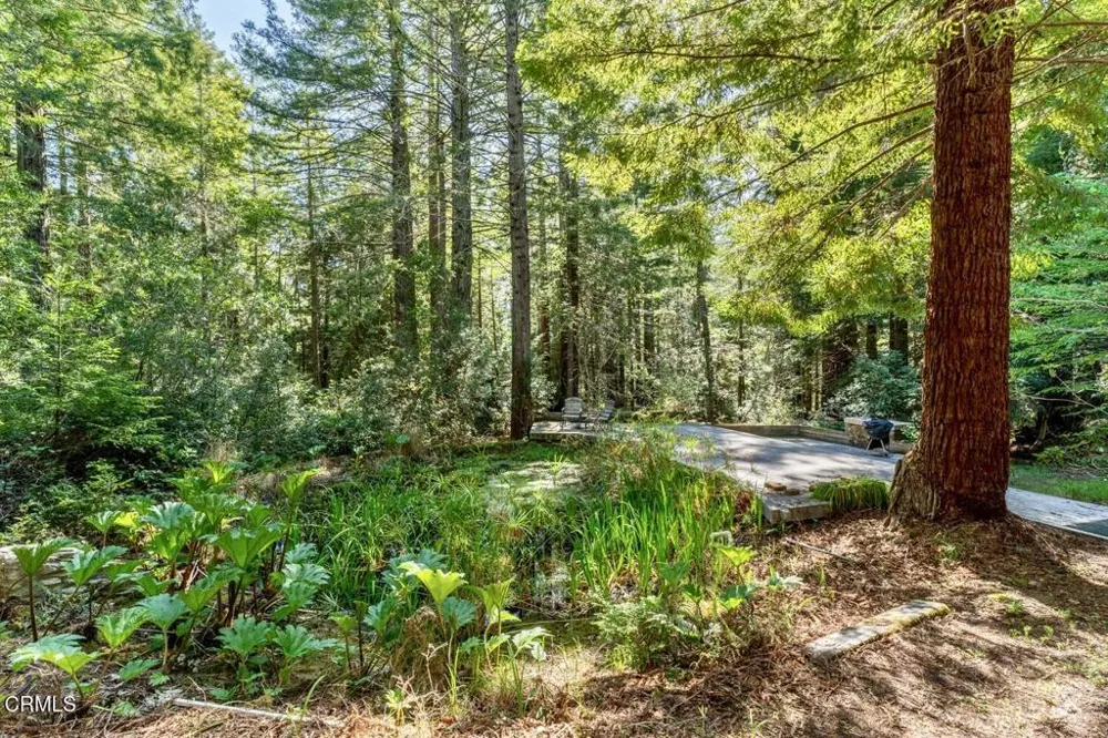 33100 Frog Pond Road Little River, CA 95456