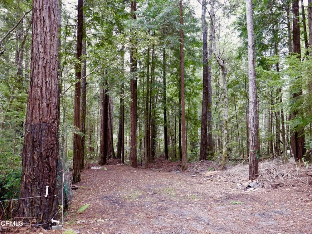 33100 Frog Pond Road Little River, CA 95456