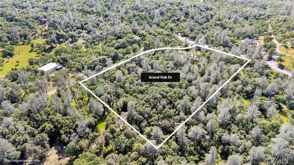 Grand Oak dr Oroville, CA 95966