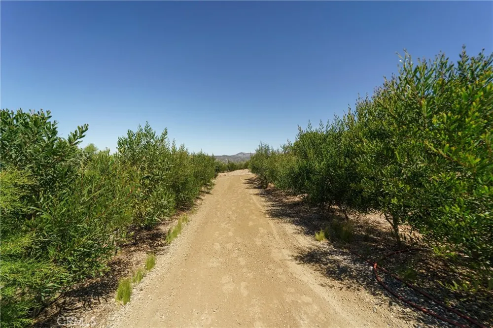 40230 Crazy Horse Canyon Road Aguanga, CA 92536