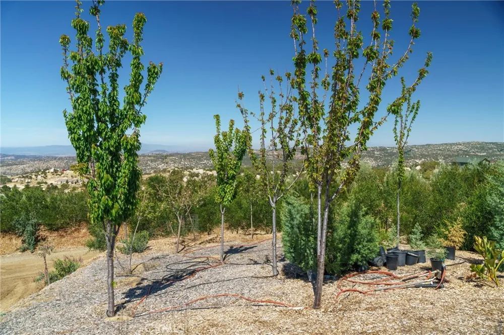 40230 Crazy Horse Canyon Road Aguanga, CA 92536