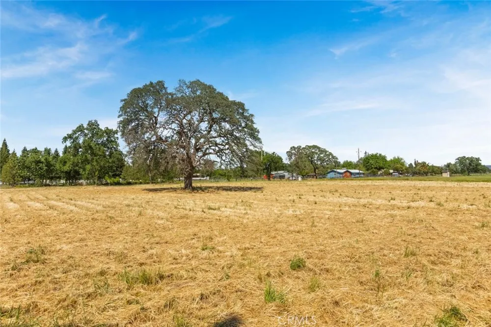 Wilson Street Los Molinos, CA 96055