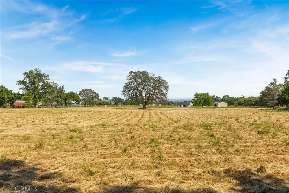 Wilson Street Los Molinos, CA 96055